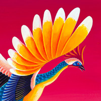 ゴシキホウオウ