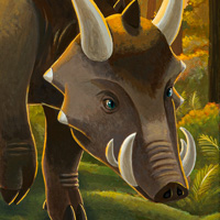 ジッカクリュウ